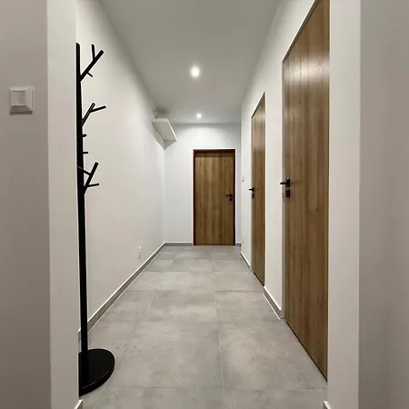 Ml Rent - Bernolák Zsolna